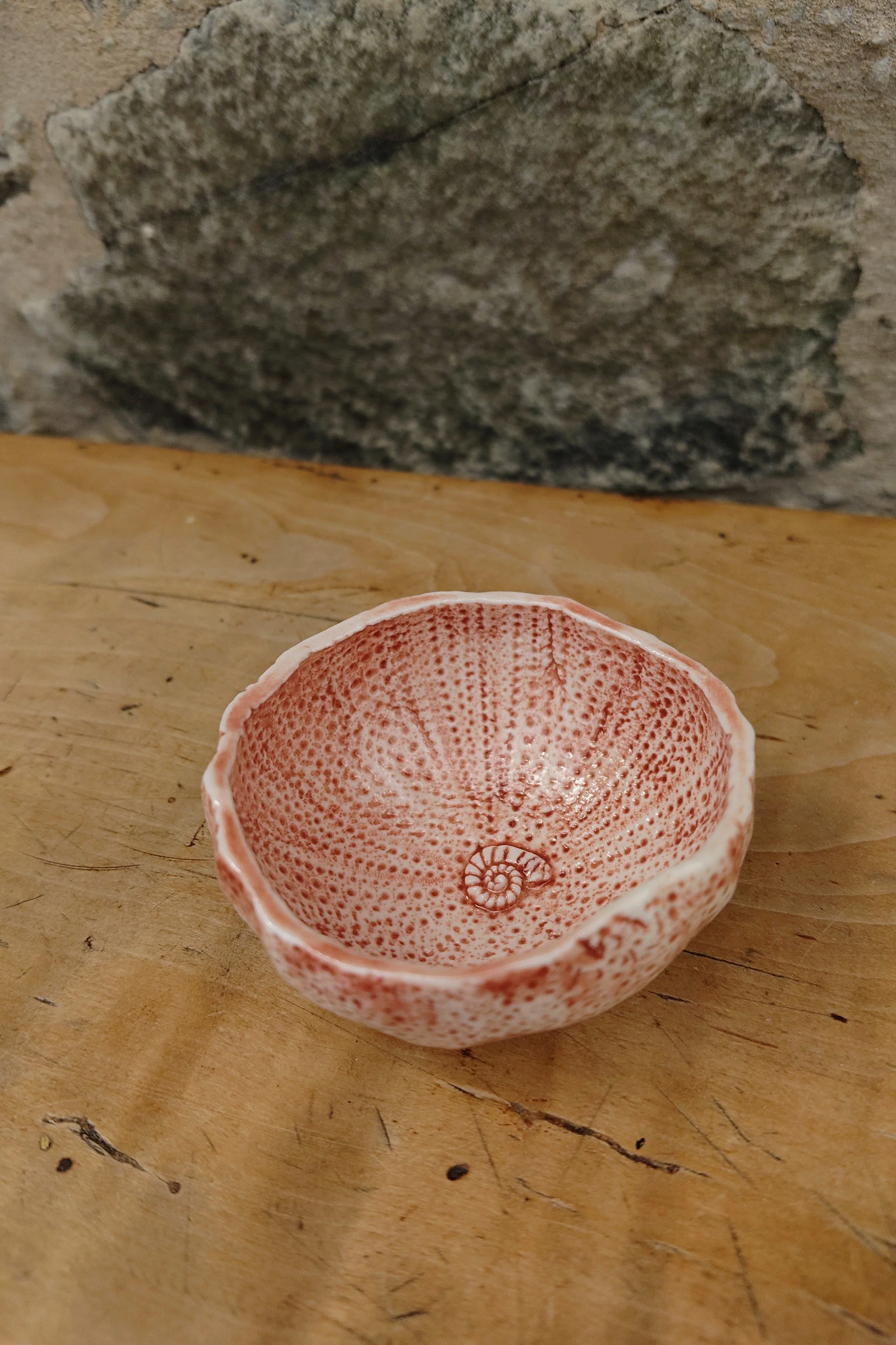 Sea Urchin Bowl - Foreshore Collection - Image 8