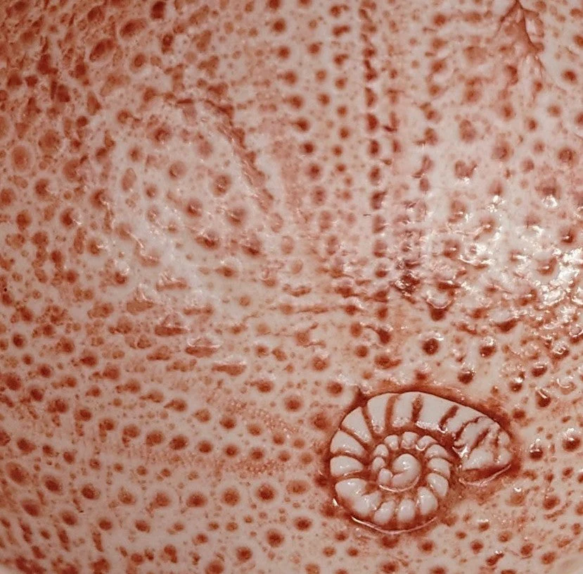 Sea Urchin Bowl - Foreshore Collection - Image 9
