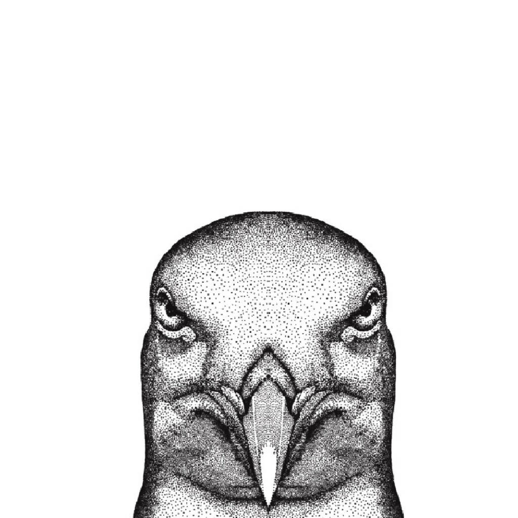 Seagull Greeting Card - Image 4