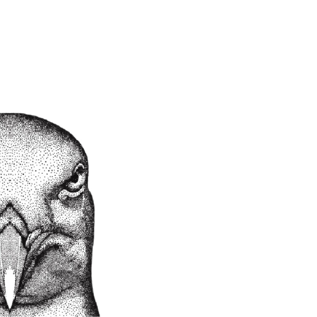 Seagull Greeting Card - Image 5