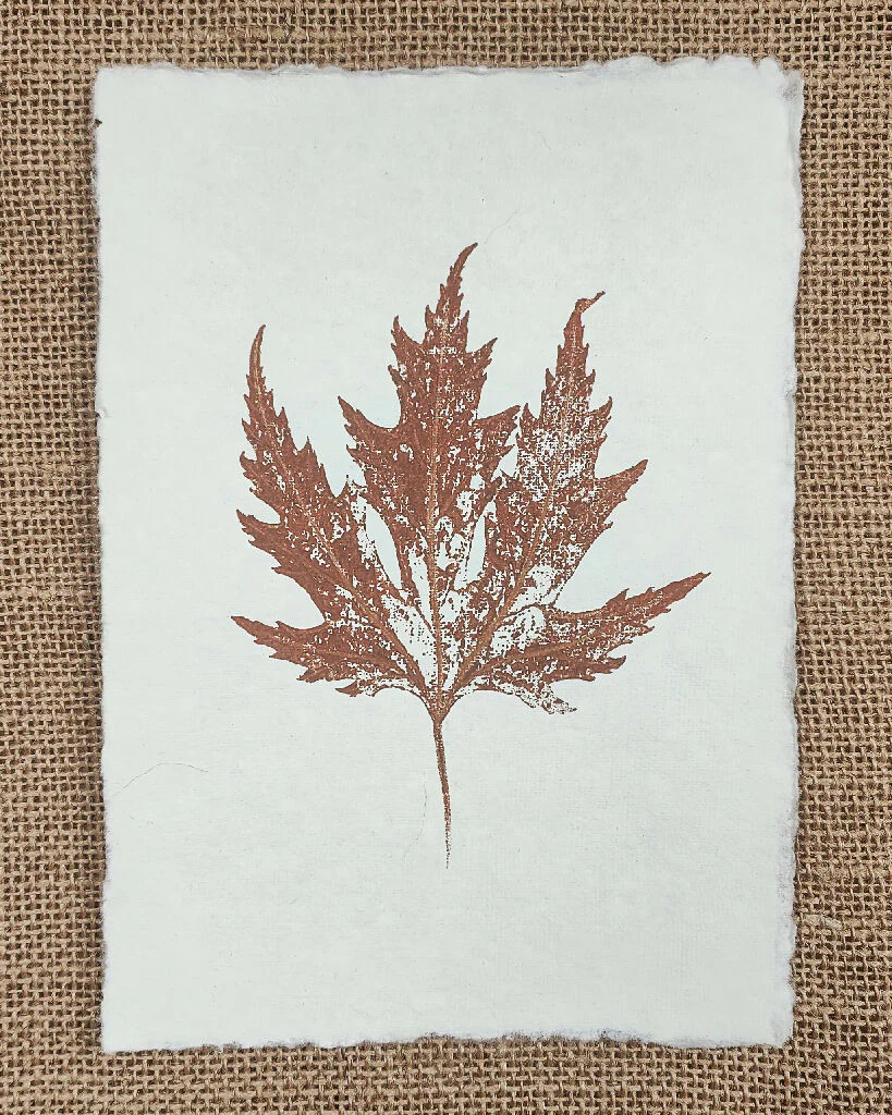 Set of 3 Maple and Oak Original Leaf Prints - Image 5