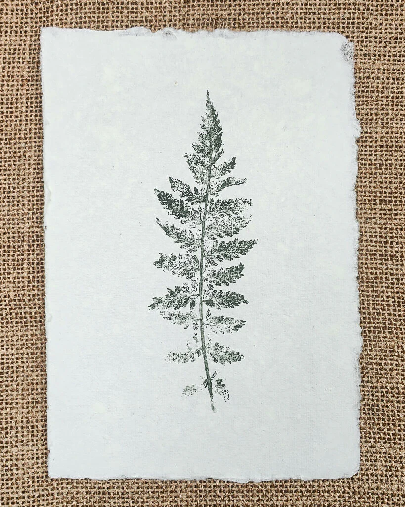 Set of 3 Original Fern Leaf Prints - Image 6