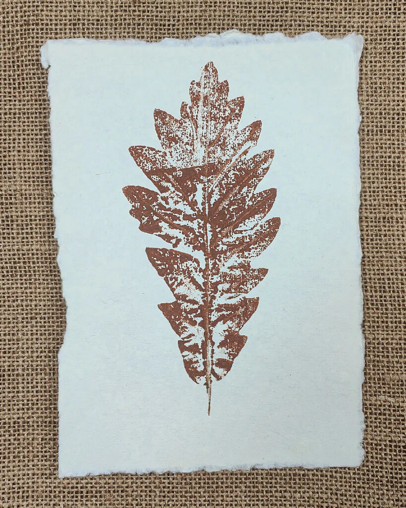 Set of 3 Original Mixed Leaf Prints - Image 5