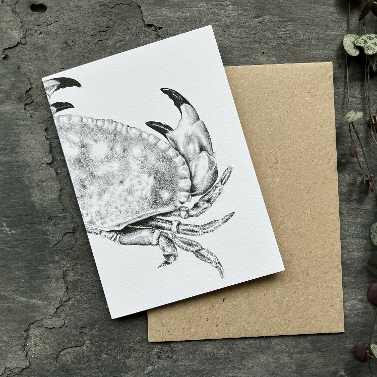 Set of 5 blank 'Seashore' Greetings Cards - Image 4