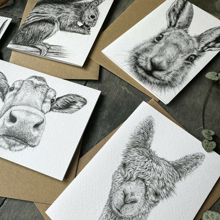 Set of 5 'Furry Friends' Greetings Cards - Image 3