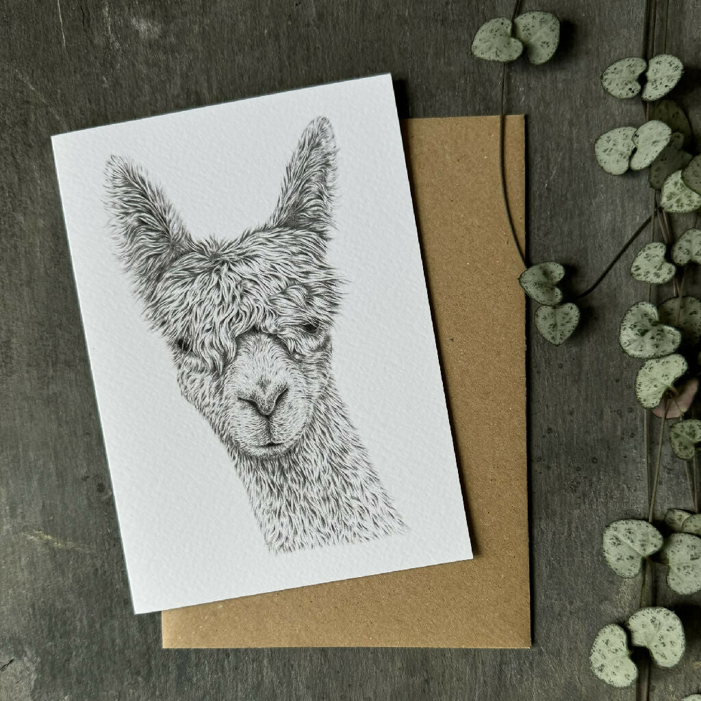 Set of 5 'Furry Friends' Greetings Cards - Image 6