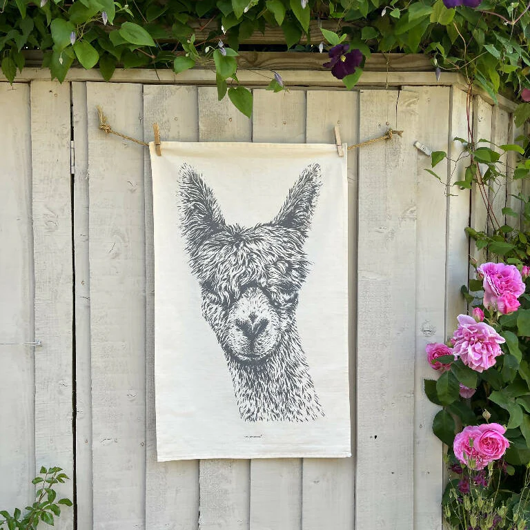 Set of Two Natural Cotton Tea Towels ~ Guernsey Cow and Alpaca - Image 3