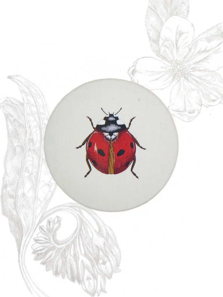 Seven Spot Ladybird Silk Shading Embroidery Kit - Image 8