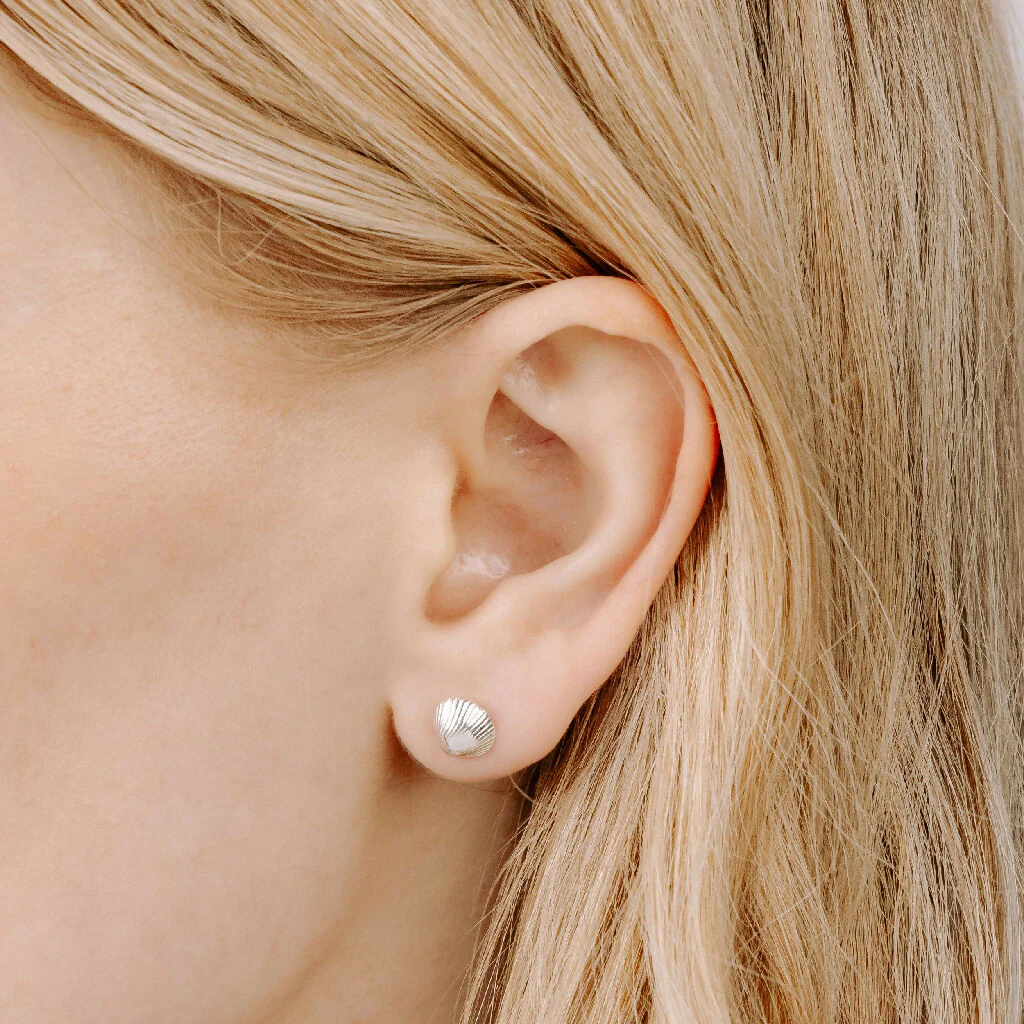 Silver Clam Shell Stud Earrings - Image 4