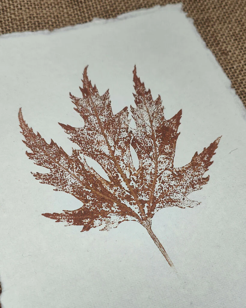 Silver Maple Original Leaf Print in Red Brown - Image 2