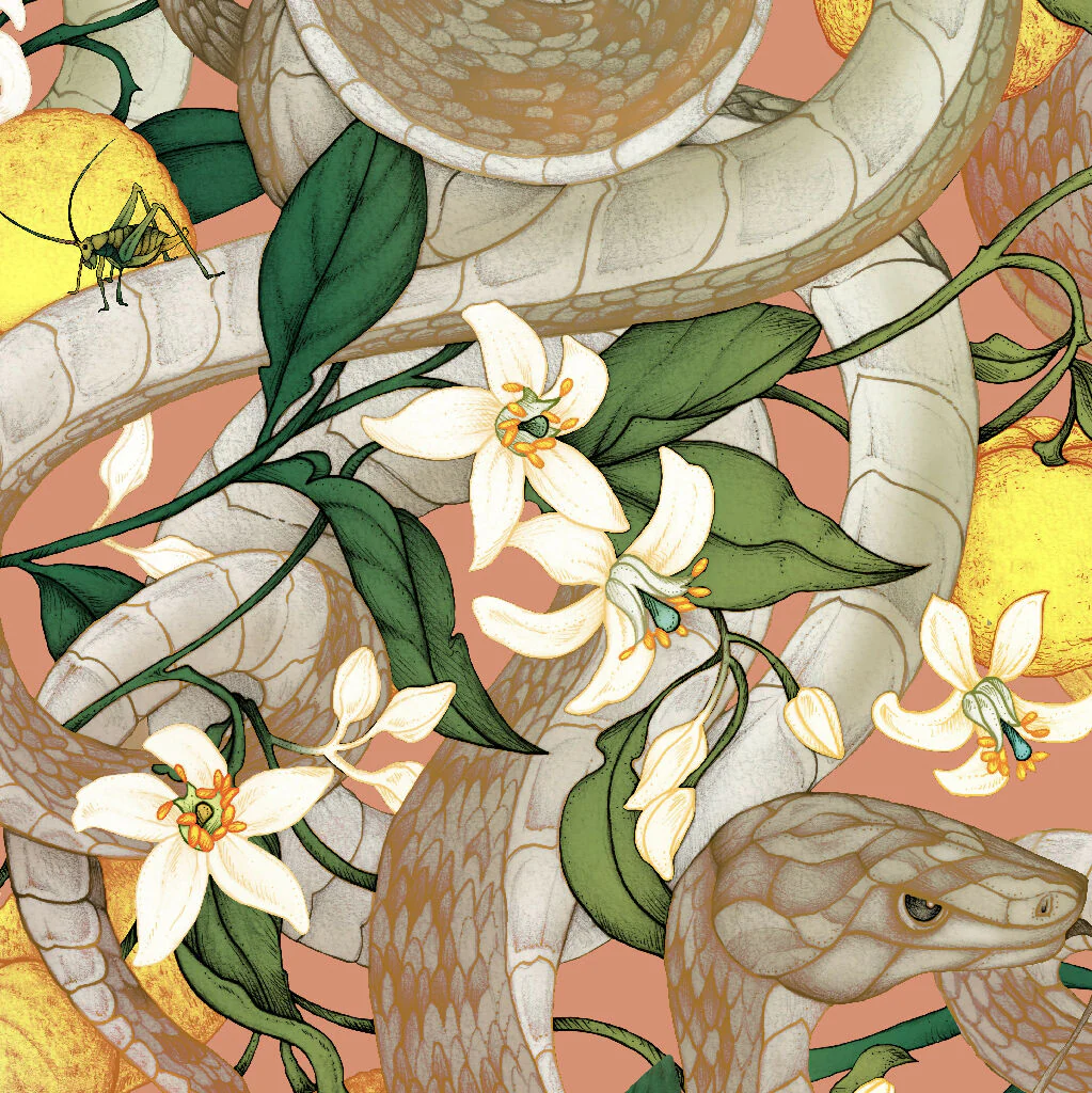 Small Batch Wallpaper - Printed in the UK - PRICE PER 2 ROLLS - Image 11