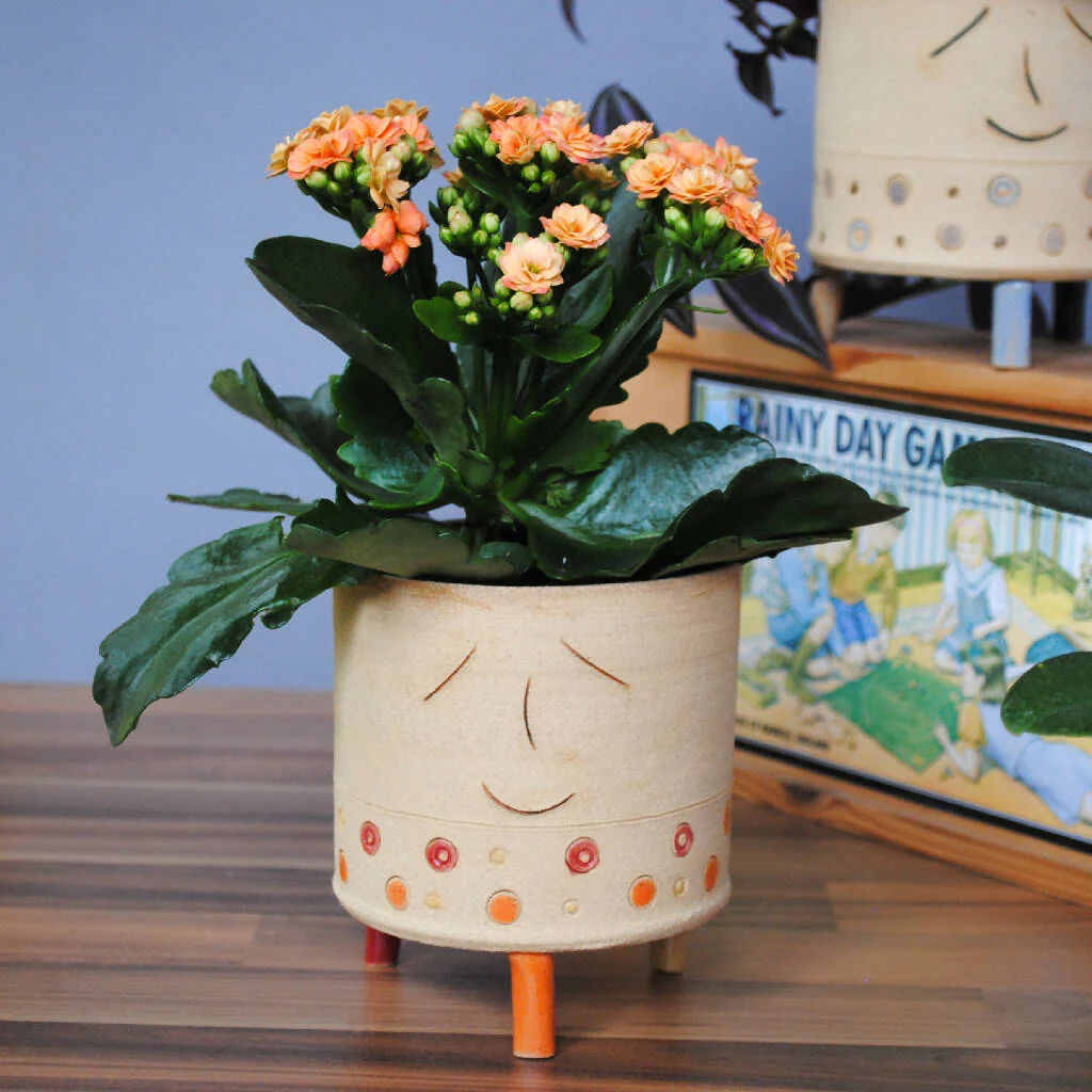 Smiley Face and Polka Dot Ceramic Plant Pot - Image 3
