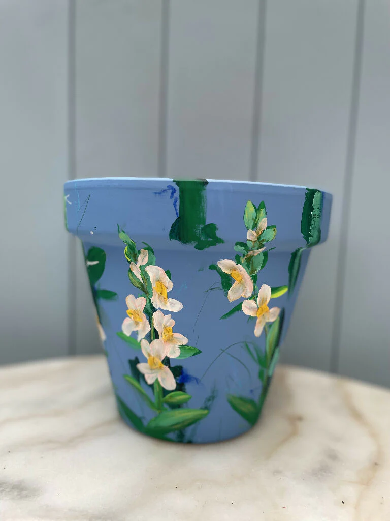 Snap Dragon Collection - Hand Painted Interior Terracotta Plant Pot - Image 2