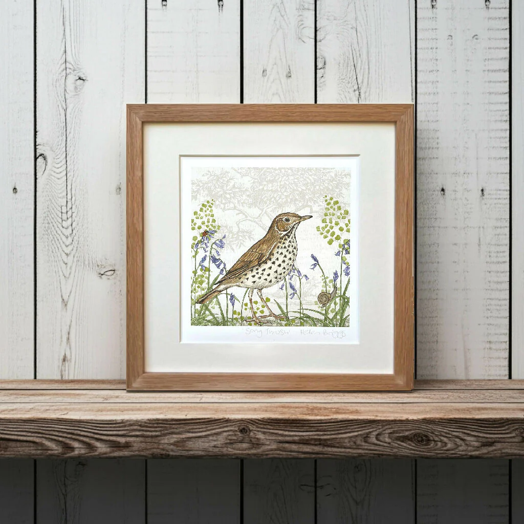 Song Thrush -Signed and mounted Giclée Art Print - Image 2