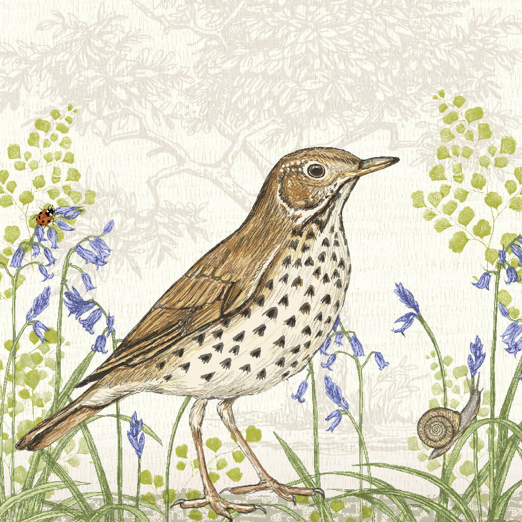 Song Thrush -Signed and mounted Giclée Art Print - Image 5