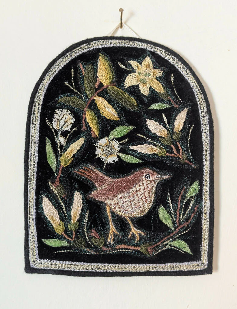 Song Thrush on black velvet - Image 3