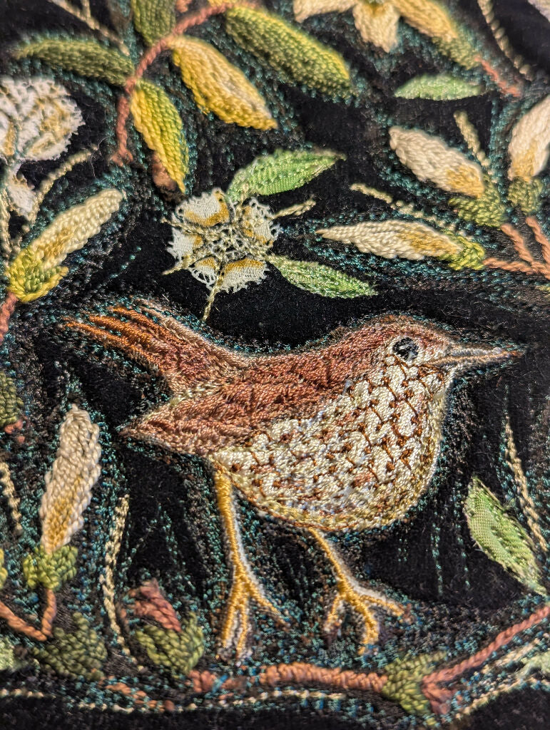 Song Thrush on black velvet - Image 4