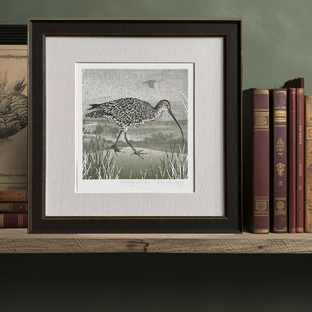 Curlew -Signed and mounted Giclée Art Print