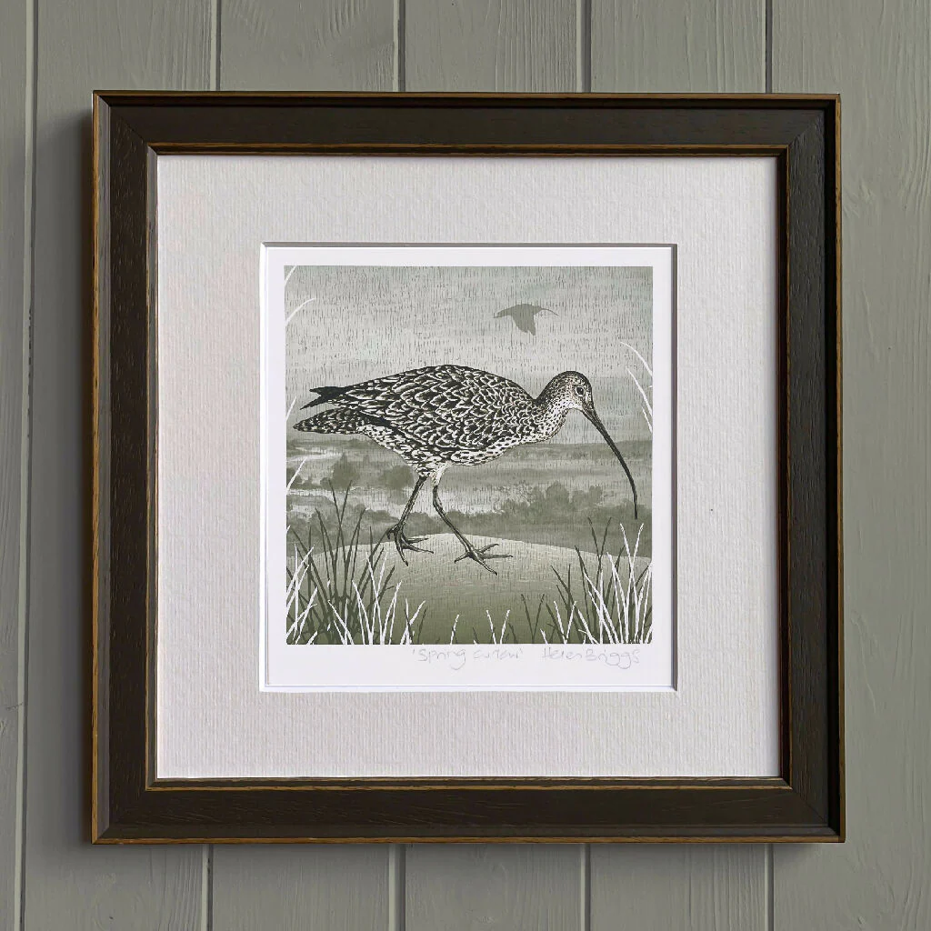 Curlew -Signed and mounted Giclée Art Print - Image 2