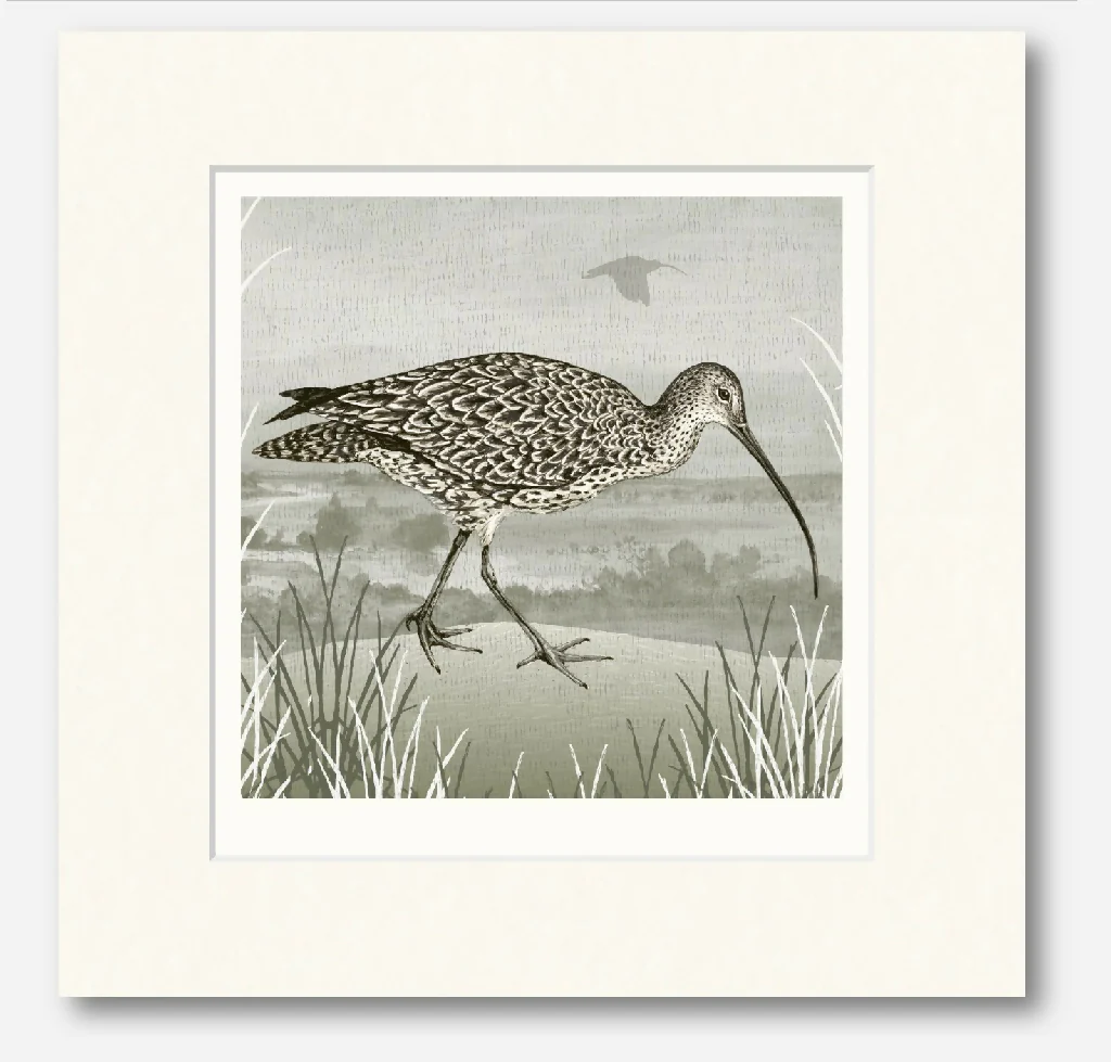 Curlew -Signed and mounted Giclée Art Print - Image 3