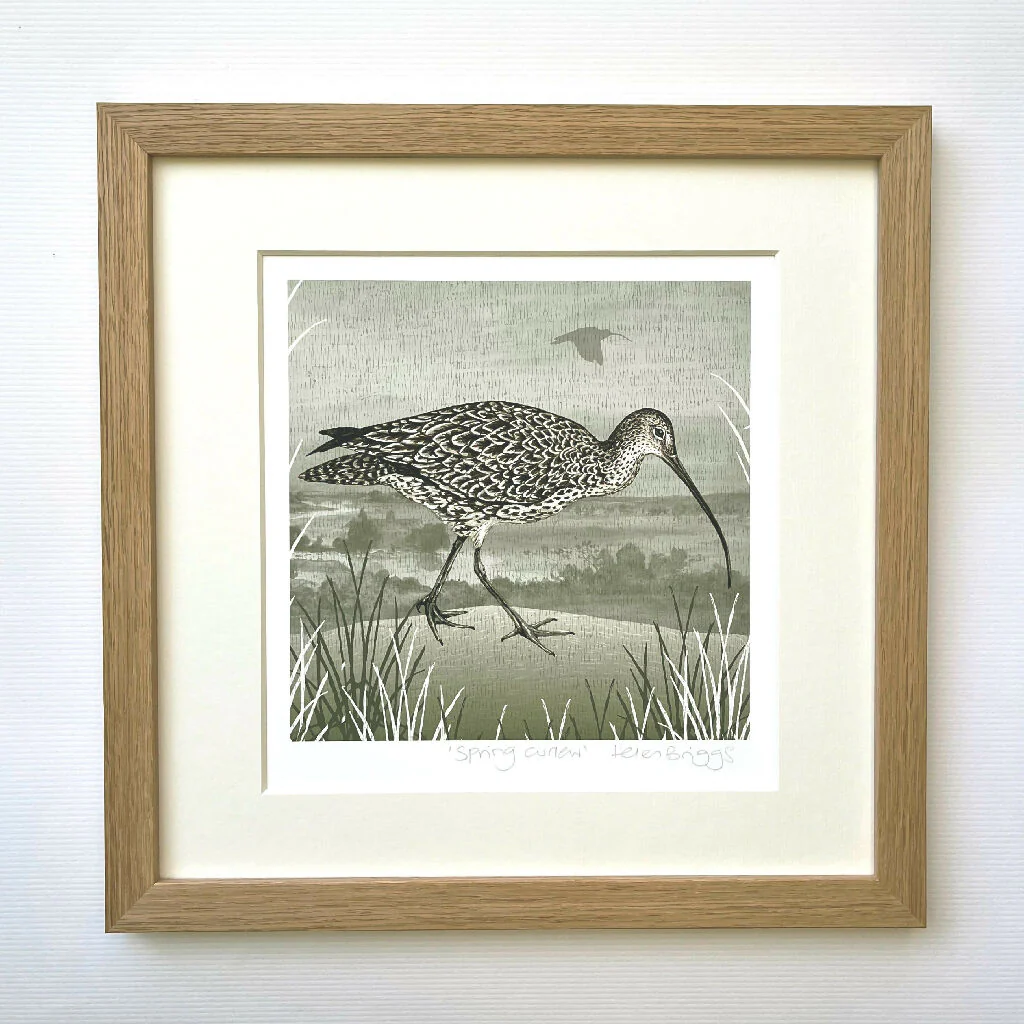 Curlew -Signed and mounted Giclée Art Print - Image 4
