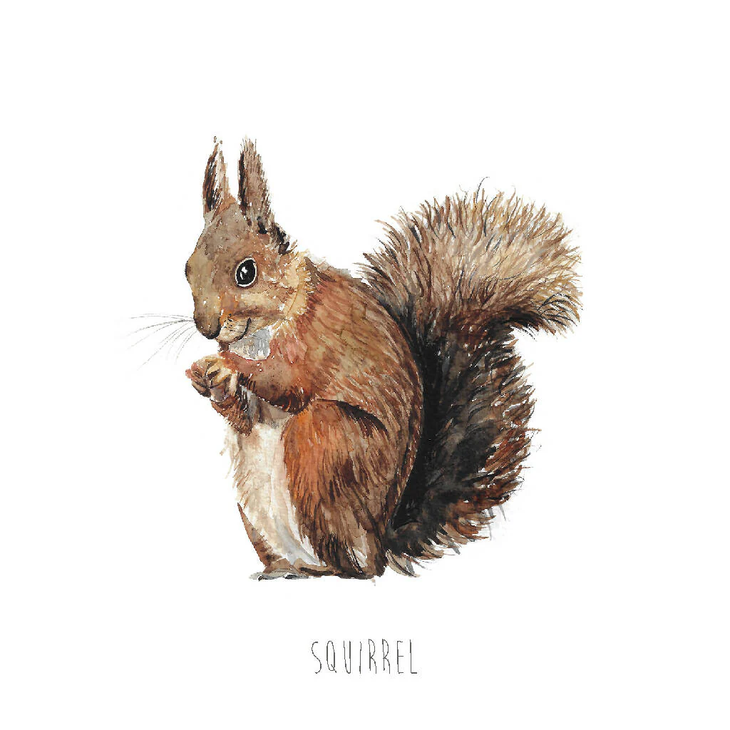 Squirrel Watercolour Art Print - Image 4