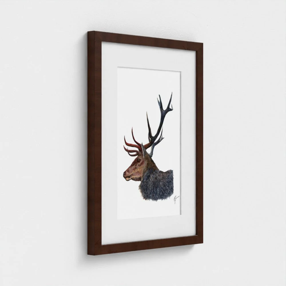 Stag Art Print | British Wildlife Wall Art | Open Edition - Image 7