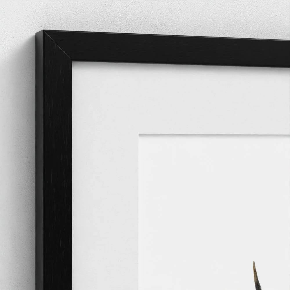 Stag Art Print | British Wildlife Wall Art | Open Edition - Image 8