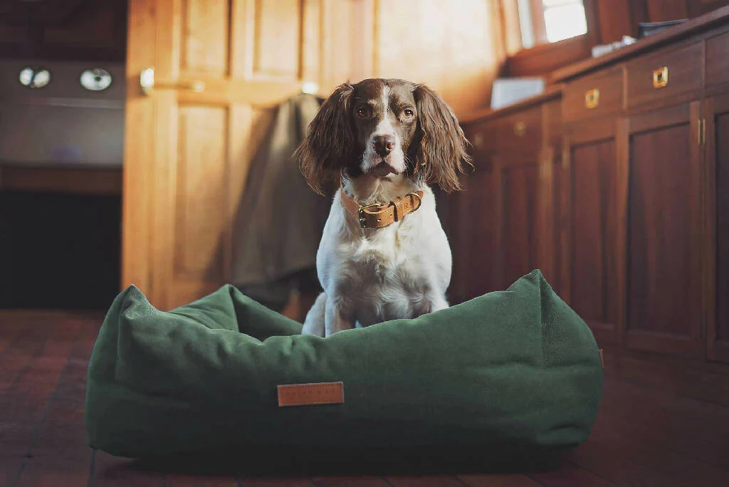 Luxury Green Dog Bed With Removable Covers | Richmond - Image 5