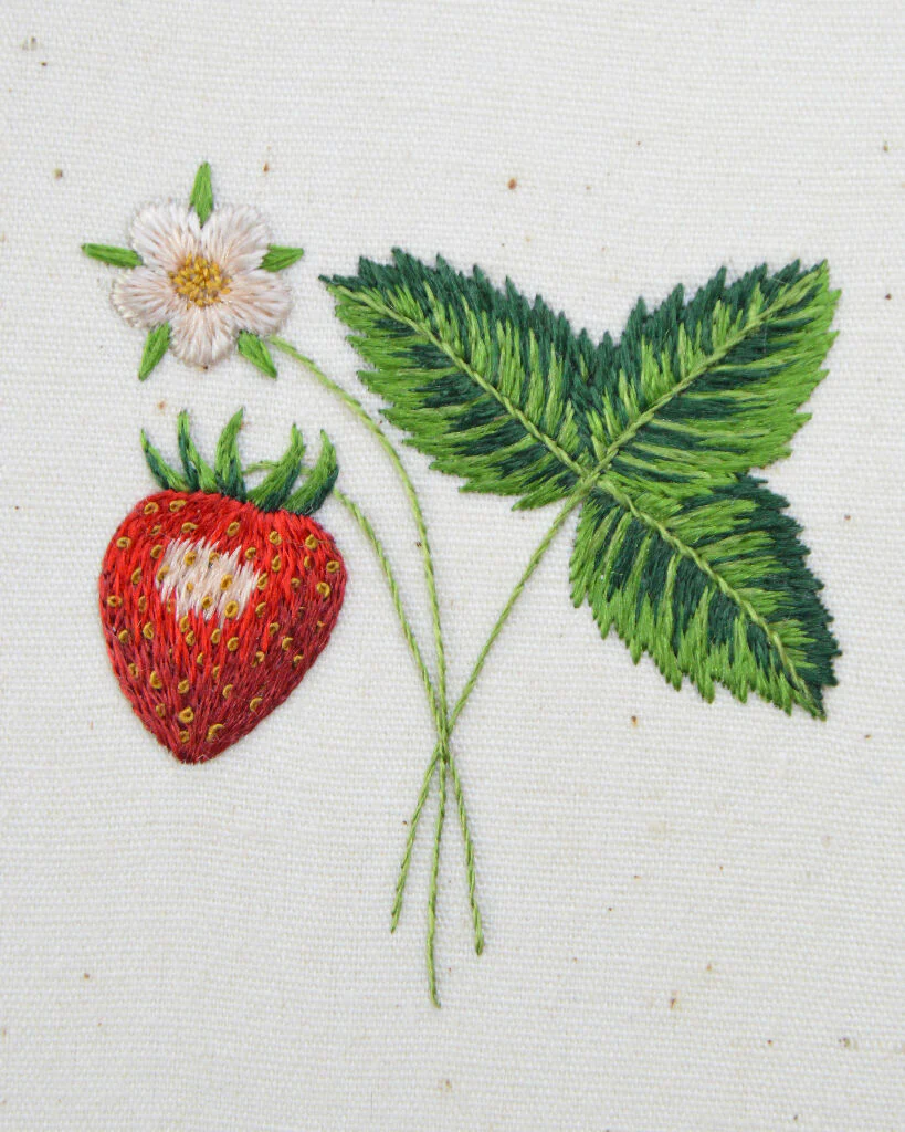 Strawberry Plant Silk Shading Embroidery Kit - Image 4