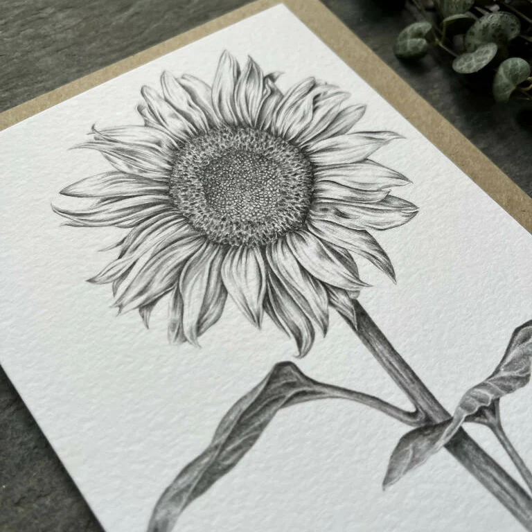 Sunflower Blank Greetings Card - Image 2