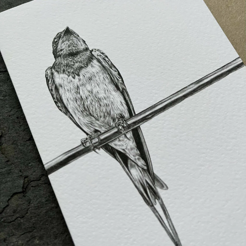 Swallow Blank Greetings Card - Image 2