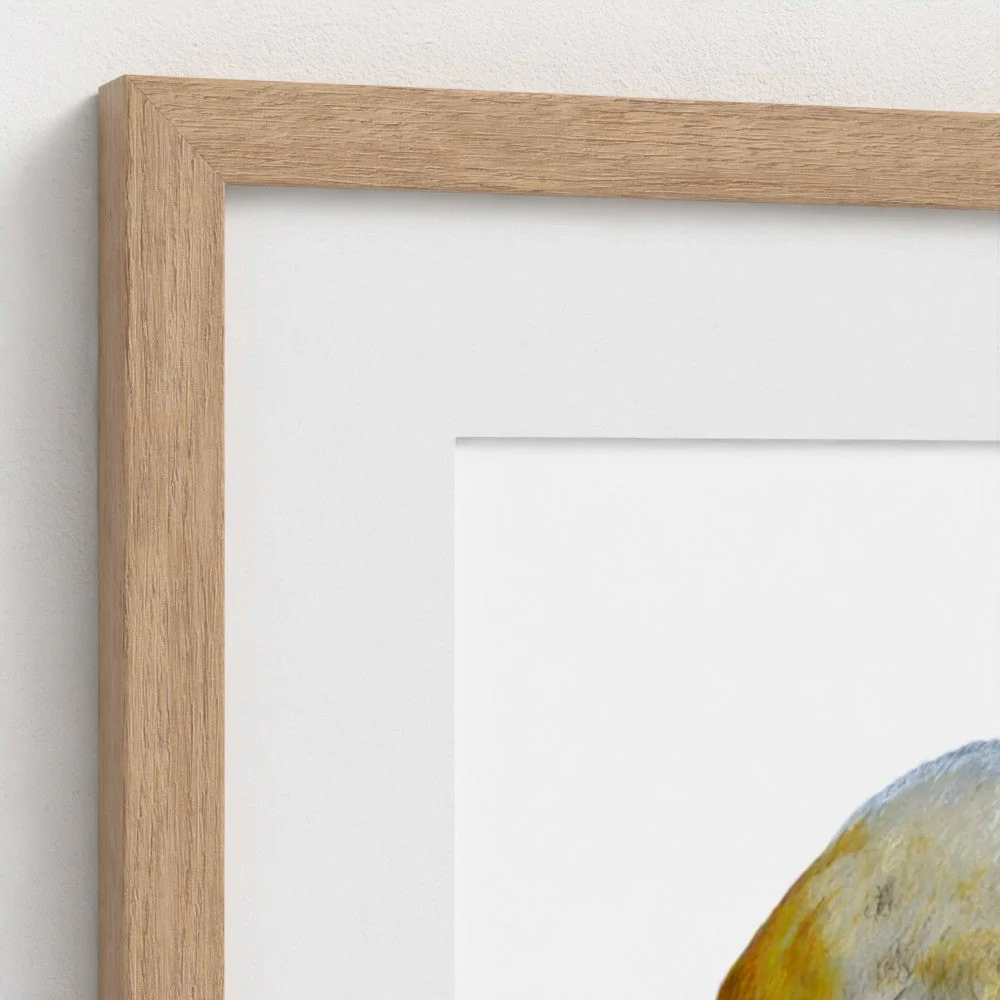 Swan Art Print | British Wildlife Wall Art | Open Edition - Image 4