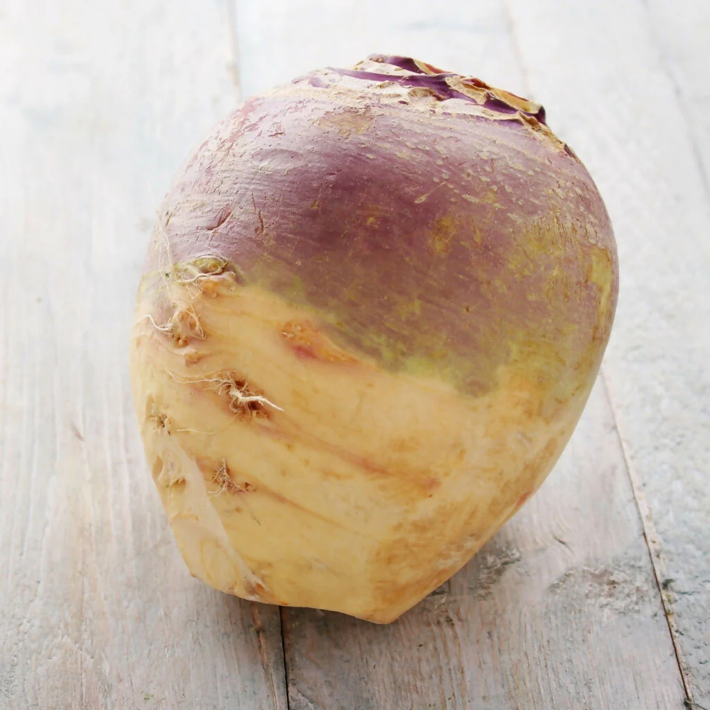 Swede Plants, 'Marian', 12 x Full Plant Pack - Image 3