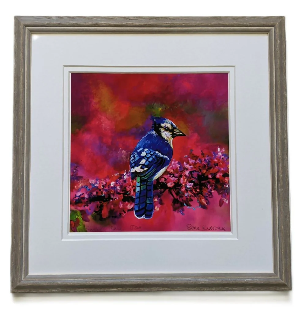 Sweet Blue Jay - Image 2