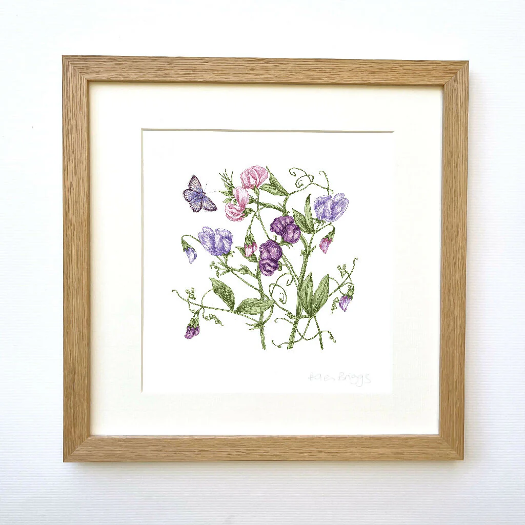 Sweet Pea Signed and Mounted Giclée Art Print - Image 3