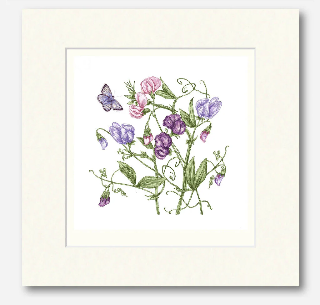 Sweet Pea Signed and Mounted Giclée Art Print - Image 4