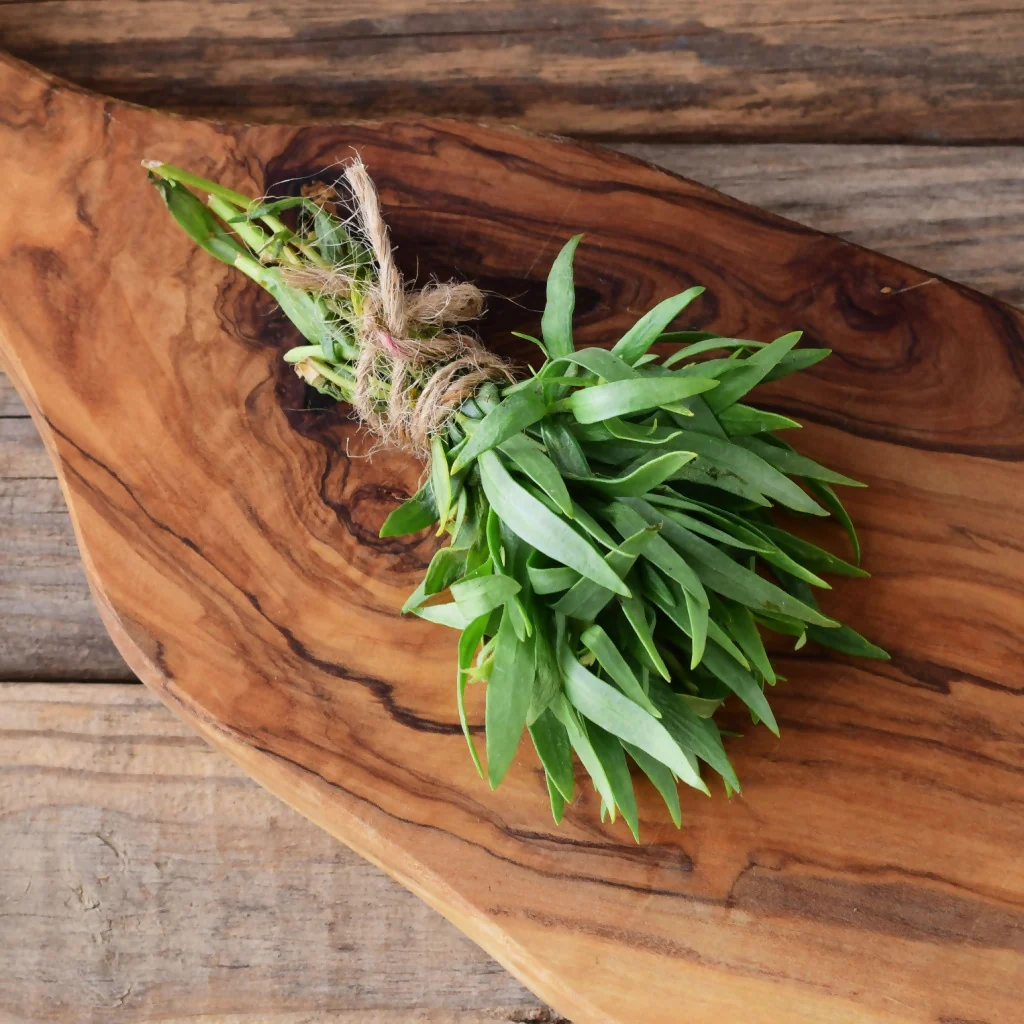 Tarragon Plants, Full Plants in 9cm Pots - Image 2