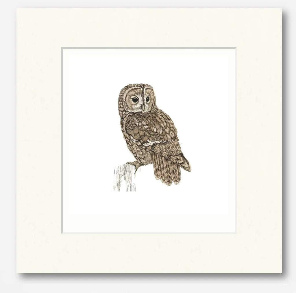 Tawny Owl White -Signed and mounted Giclée Art Print - Image 4
