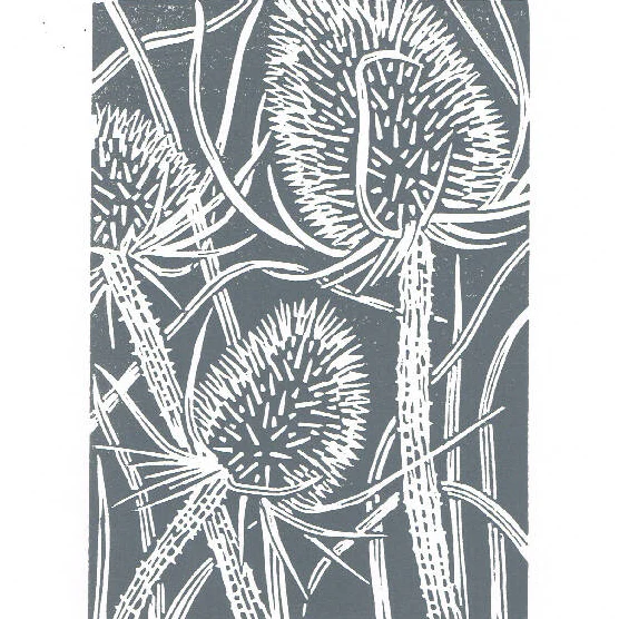 Teasel Seedhead in Teal Blue - Open Ended Edition - Original Linocut Print - Image 7