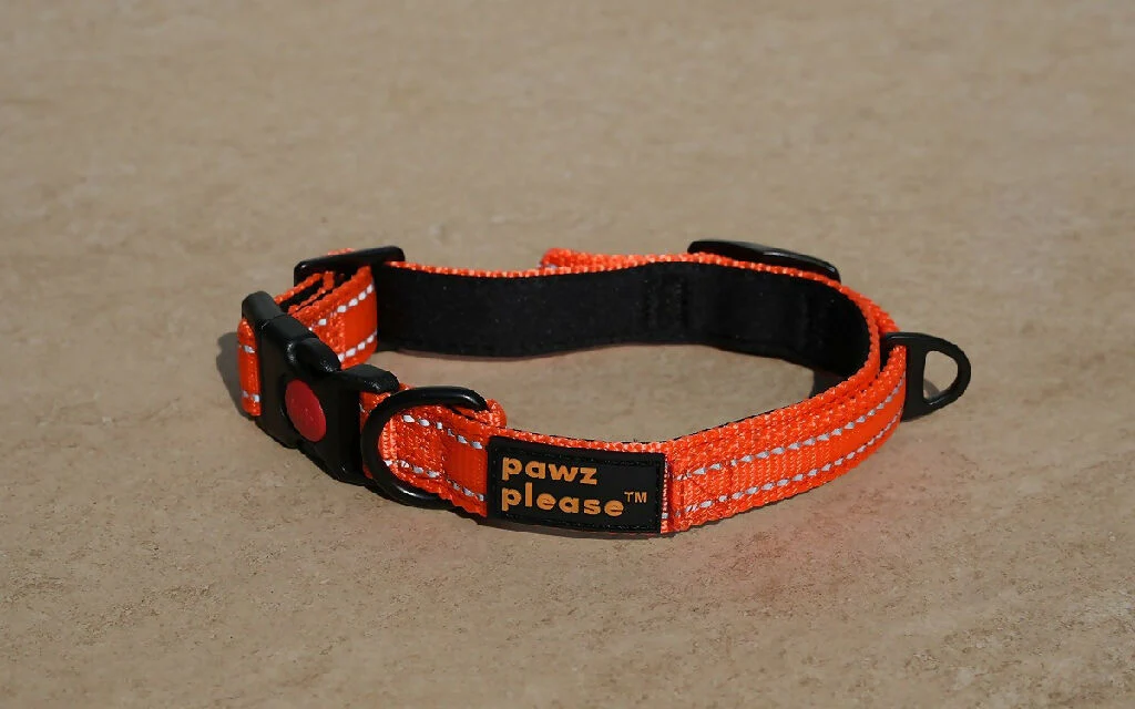 The Explorer Nylon Collar | Customisable Nylon Collar in Black, Pink, Blue, Orange, or Red - Image 10