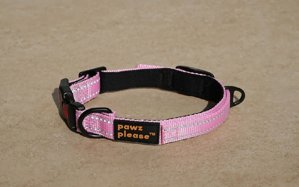The Explorer Nylon Collar | Customisable Nylon Collar in Black, Pink, Blue, Orange, or Red - Image 11