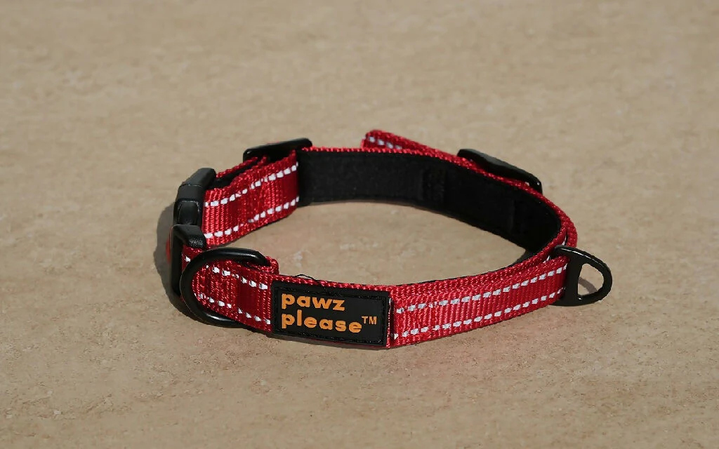The Explorer Nylon Collar | Customisable Nylon Collar in Black, Pink, Blue, Orange, or Red - Image 12