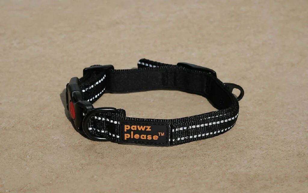 The Explorer Nylon Collar | Customisable Nylon Collar in Black, Pink, Blue, Orange, or Red - Image 8