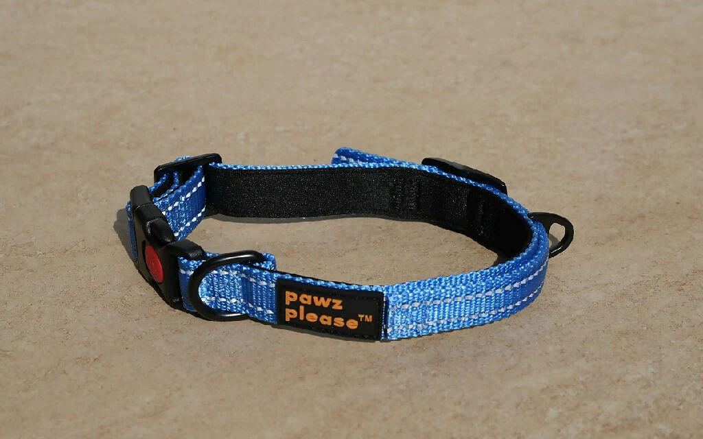 The Explorer Nylon Collar | Customisable Nylon Collar in Black, Pink, Blue, Orange, or Red - Image 9