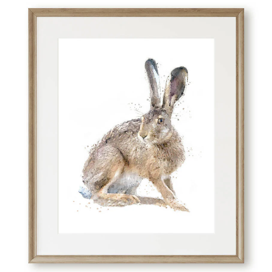 The Fine Art Hares Collection - Image 2