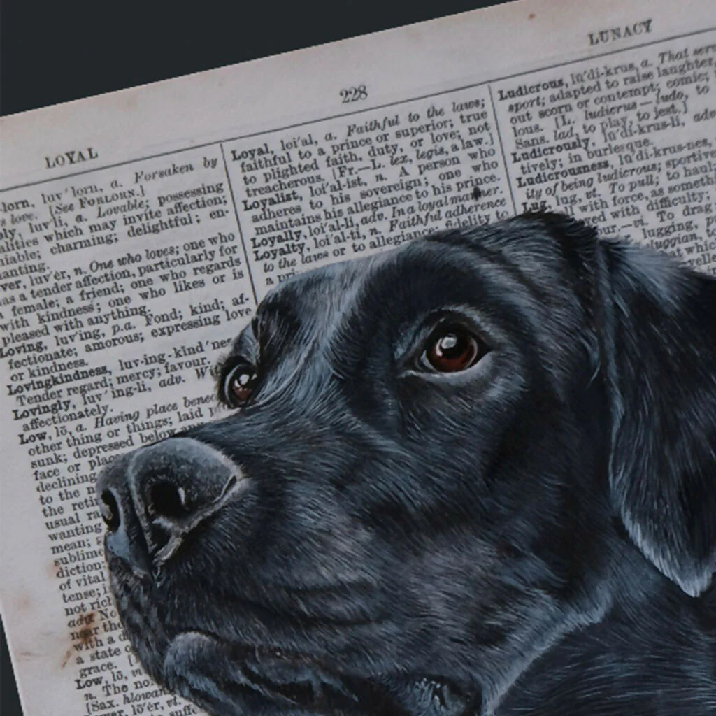 The Labrador - Loyal Lunatic - Mounted Print - Image 3