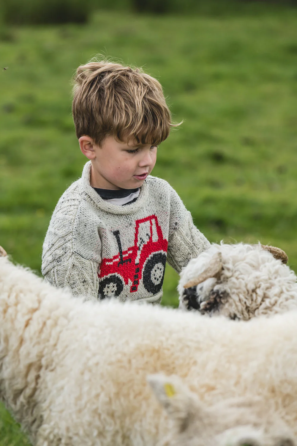 The Mini Muchelney - Tractor Knitted Jumper - Image 5