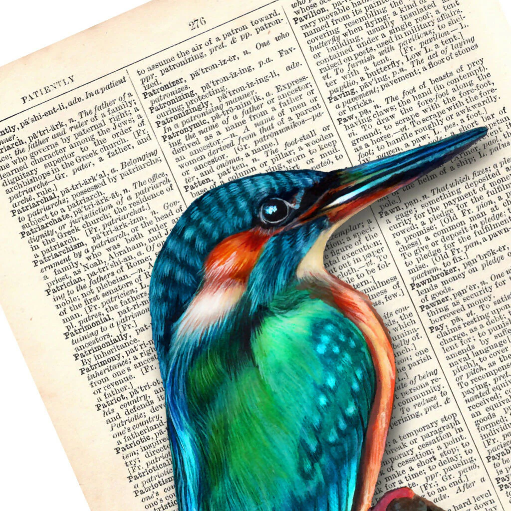 The Patient Kingfisher - Print - Image 4