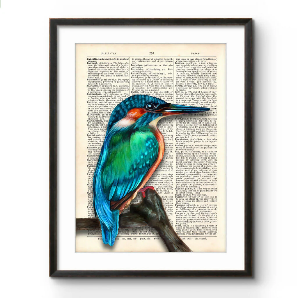 The Patient Kingfisher - Print - Image 5